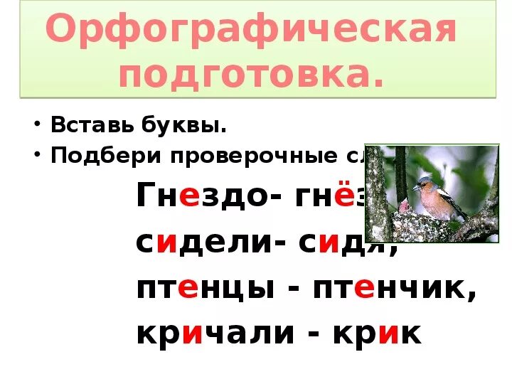 Гнездо проверенное слово