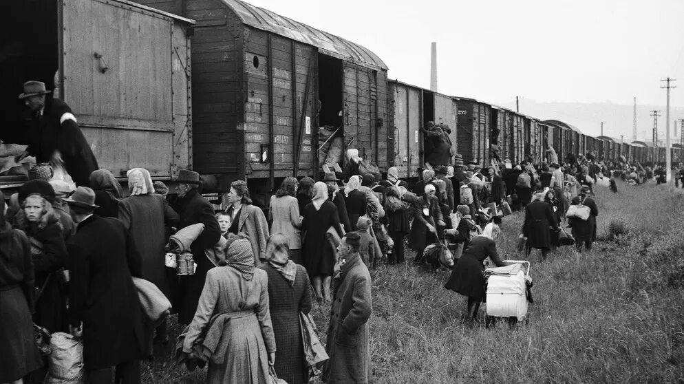 Депортация турок месхетинцев. Депортация российских немцев 1941. Депортация немцев Поволжья. Указ о депортации немцев Поволжья 1941 года.