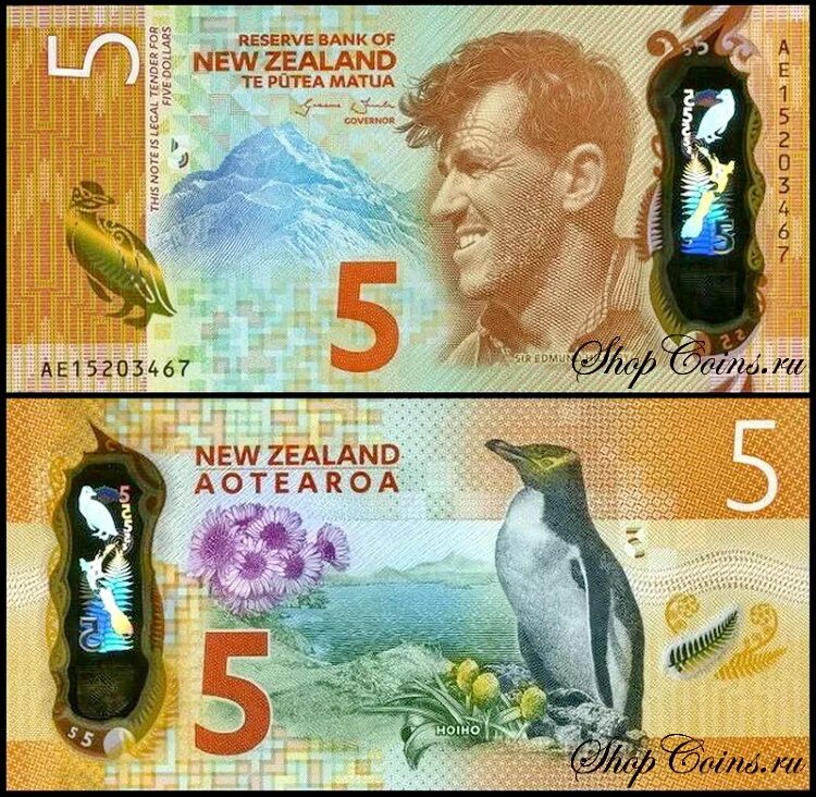 Новые 5 долларов. 5 Долларов новая Зеландия банкнота. Купюра 5 доллара новая Зеландия. Новая Зеландия 5 долларов 2015. Банкноты новая Зеландия 1967.
