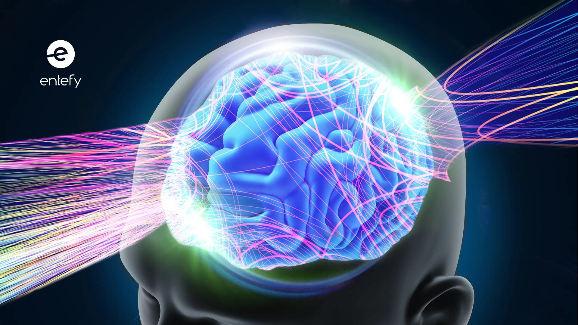 Изображение мозга. Мозг это жир. Головной мозг. Тренировка мозга. Умный мозг.