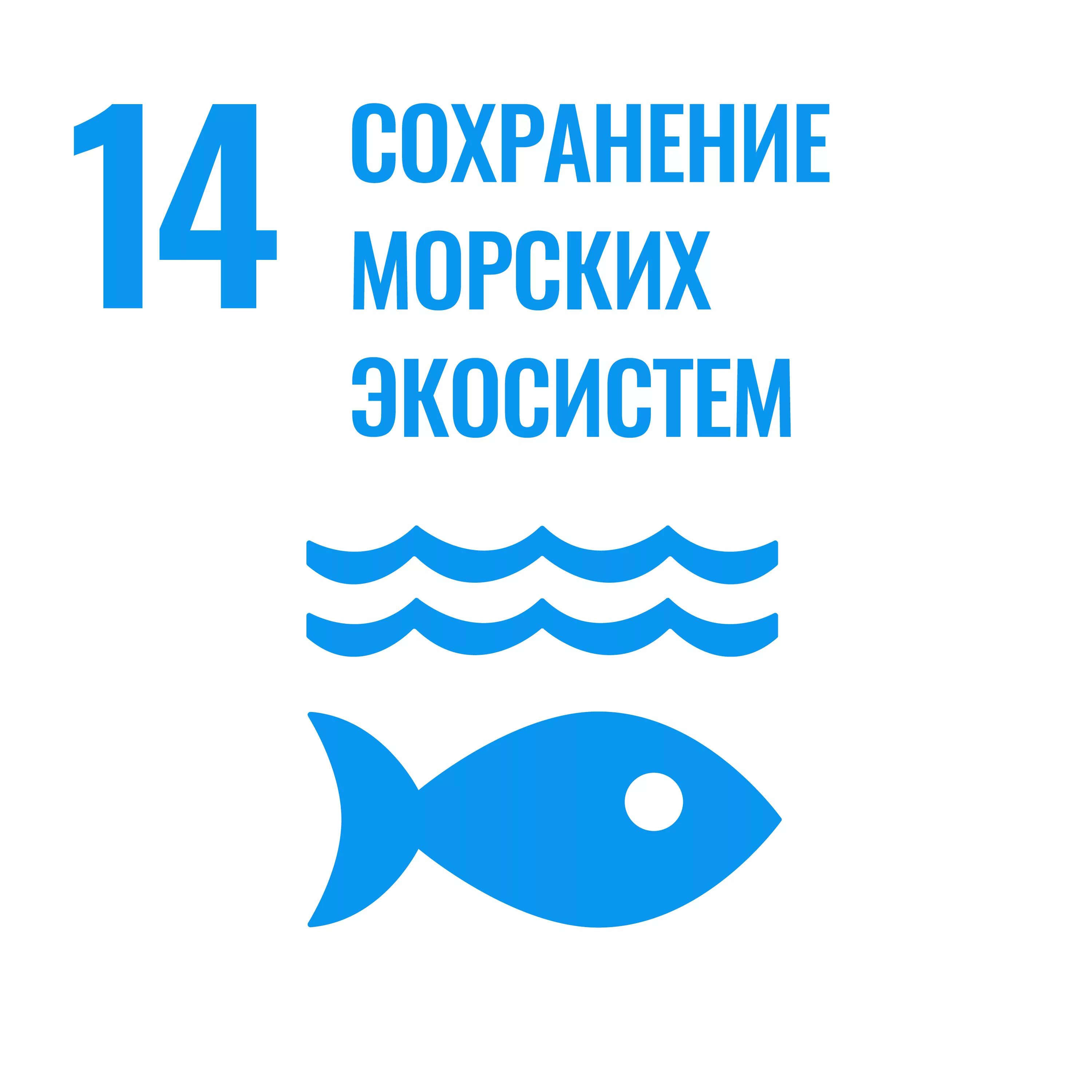 Сохранение морских ресурсов. Сохранение морских экосистем. цель 14 сохранение морских экосистем. сохраним море. рациональное использование океана.
