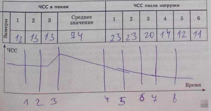 Работа функциональная сердечно сосудистая проба