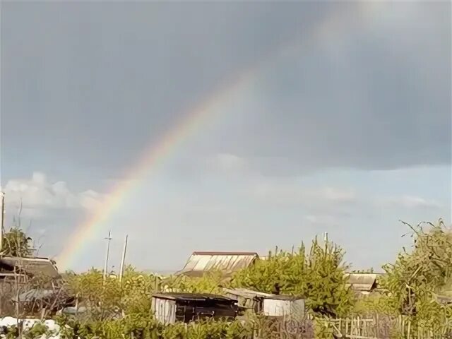 Гена рог