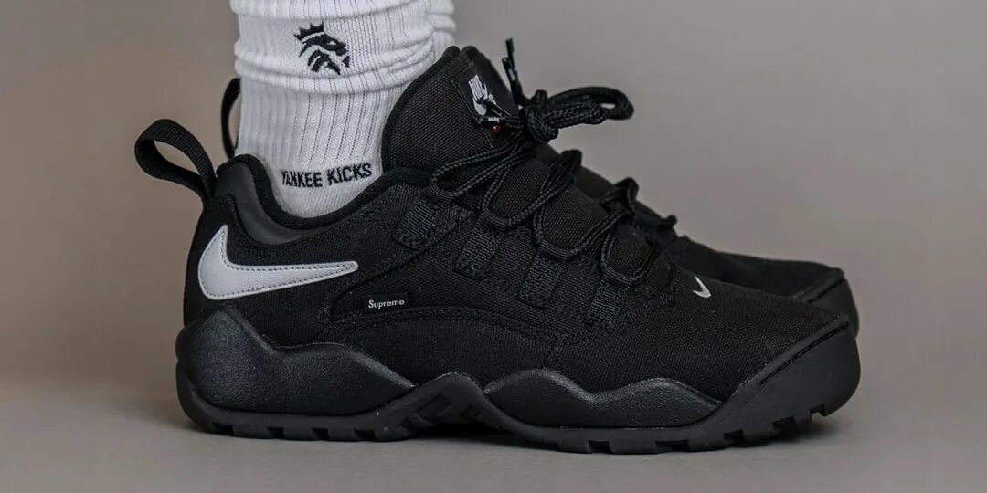 Nike darwin low supreme. Кроссовки patrol скейтерские. Sb darwin low. Nike air darwin sb. Supreme x nike sb darwin low.