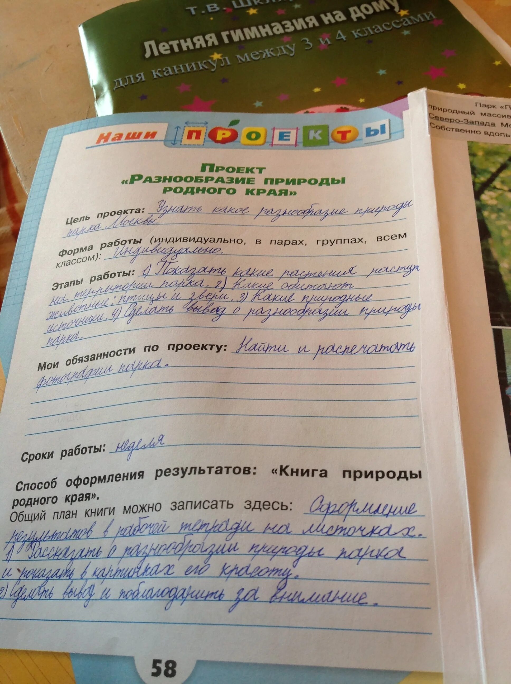 Запиши план сообщения: найдено 88 изображений