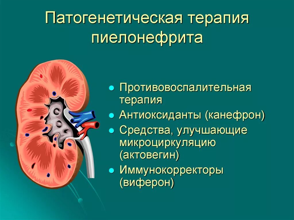 Пиелонефрит является заболеванием. Патогенетическая терапия пиелонефрита. Патогенетическая терапия пиелонефрита у детей. Патогенез хронического пиелонефрита патанатомия. Хронический пиелонефрит этиология.