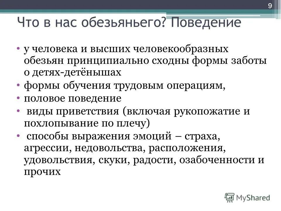 формы заботы. формы заботы. формы заботы. формы заботы о потомстве таблица. уровни заботы о себе.