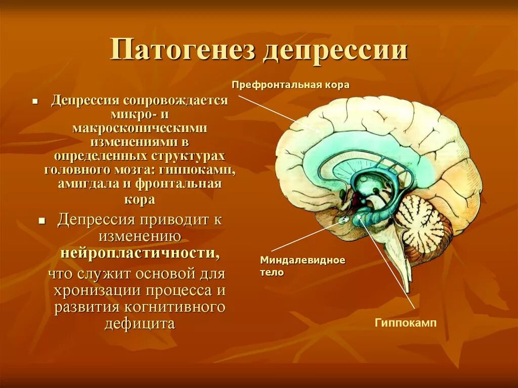 Механизм развития депрессии. Депрессия этиология и патогенез. Область поражения мозга при депрессии. Патогенез депрессии. Корковая активность головного мозга