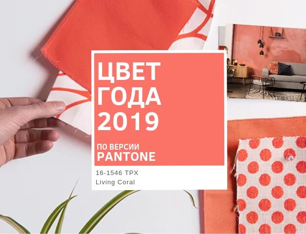 2019 / living coral. Пантон цвет года 2000. Палитра pantone 2019. Цвет года 2000 pantone. Цвет года pantone living coral.