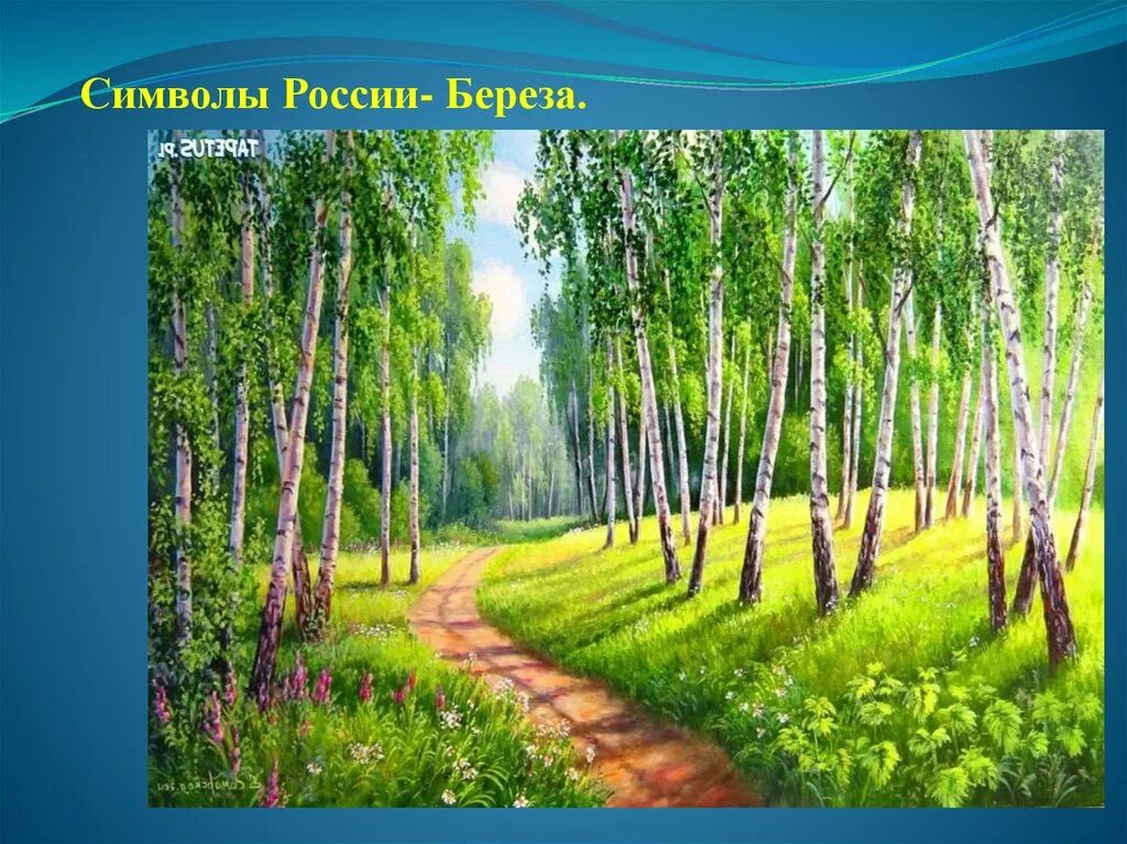 Березовую рощу считают природным сообществом так