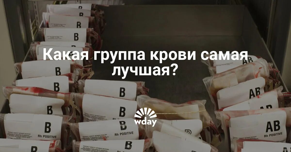 Группа крови сами редки. Сами хорошие группы крови. Какая кровь самая лучшая. Лучшая группа крови. Самая популярная группа крови.