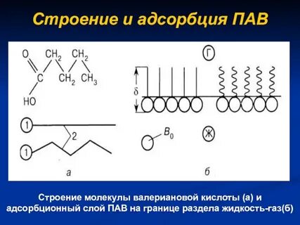 Адсорбция пав