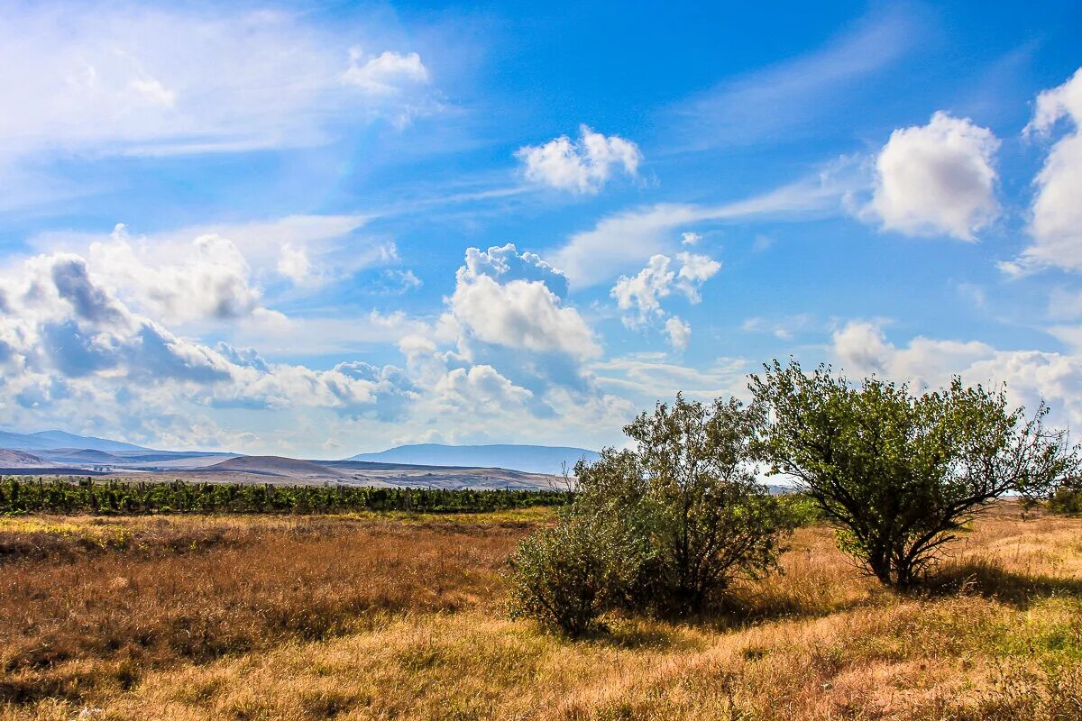 Гора Агармыш в Крыму. Небо в Крыму. Голубое небо Крым. Голубое Крымское небо. Придорожное крым