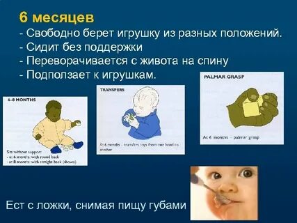 Нервно психическое развитие ребенка в 6 месяцев