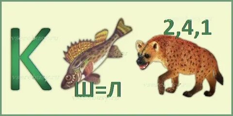 Ребус систематика