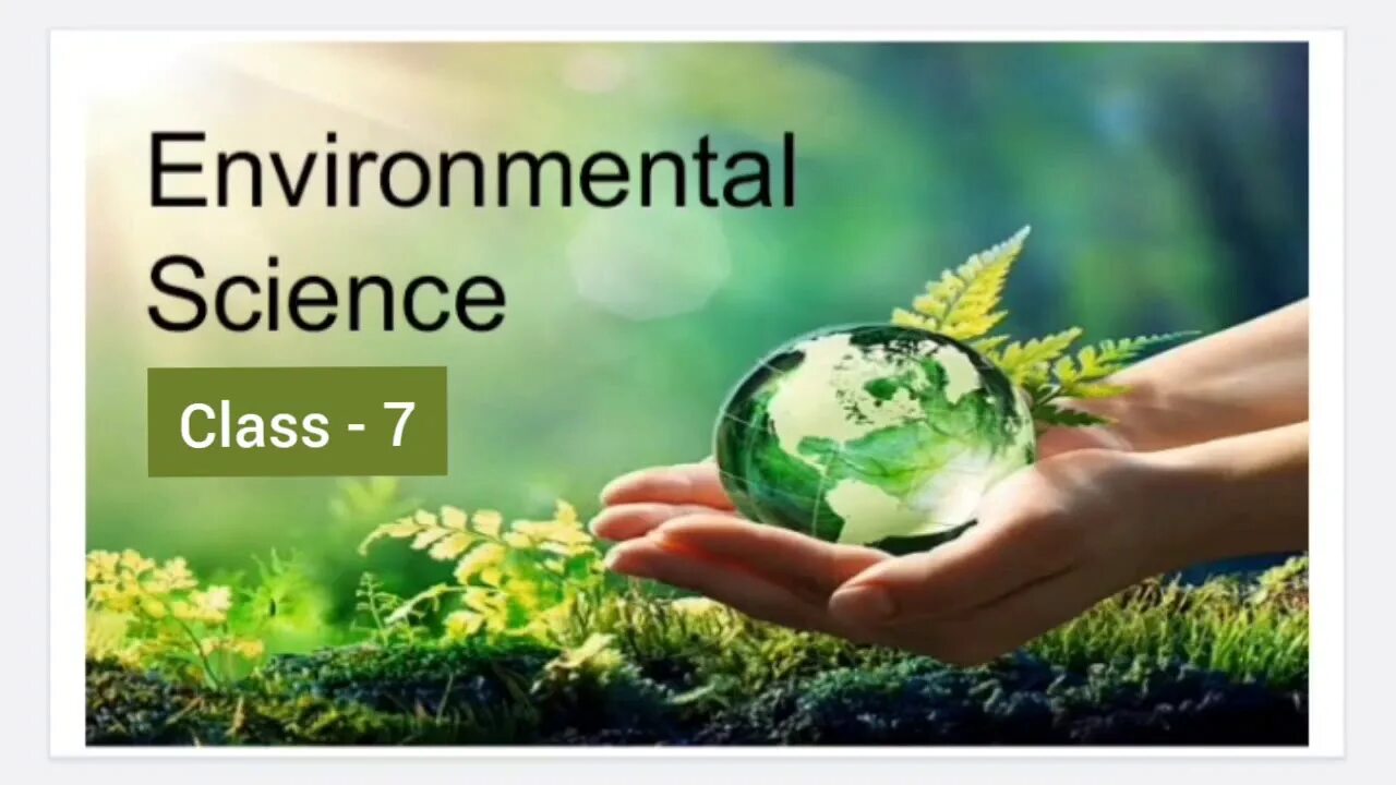 Man environment. Our environment. environment для детей 3 класс. проект save our environment. охрана окружающей среды в китае.