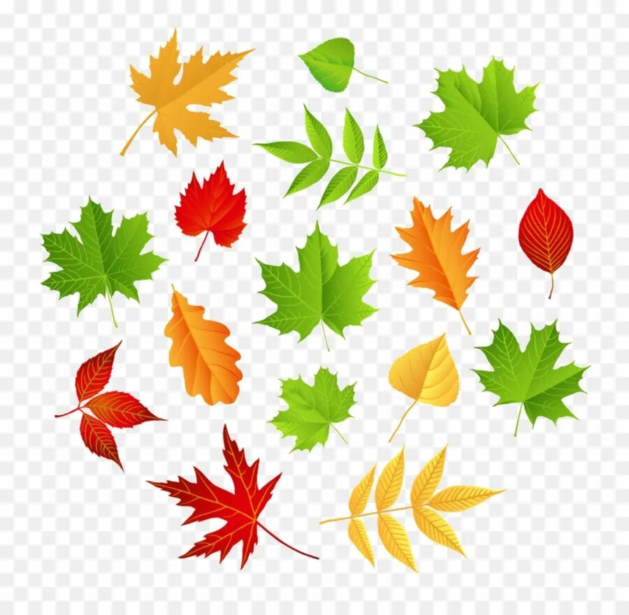 Осенние листочки. Маленькие осенние листочки. Листья разных деревьев. Цветной лист.