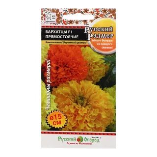 Семена цветов бархатцы