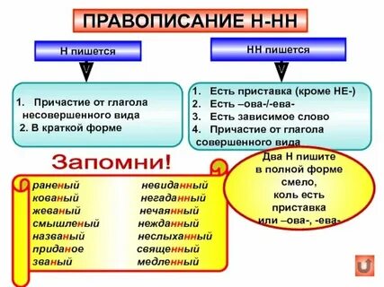 Точно узнаю и напишу