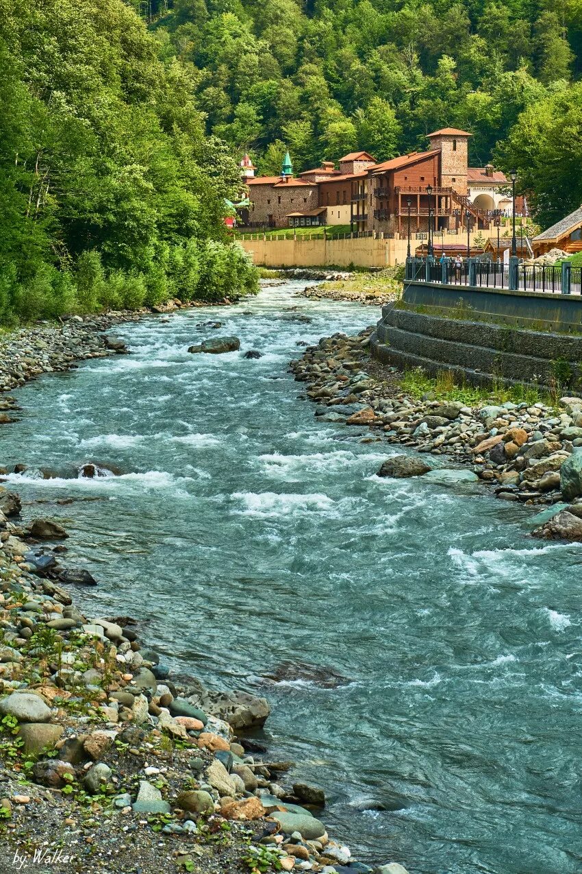 Родник роз. Терренкур красная Поляна.