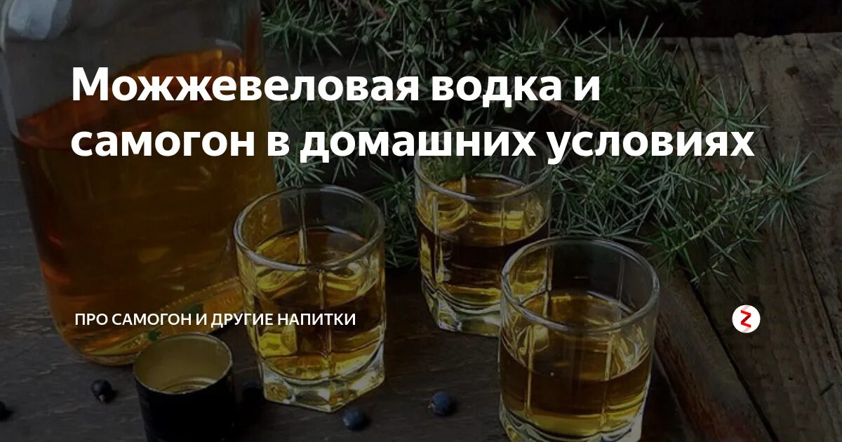 Настойка вред и польза. Коноплянка можжевеловая настойка. Самогон на можжевельнике. Спиртное на основе можжевельника. Можжевеловая водка 4 буквы.