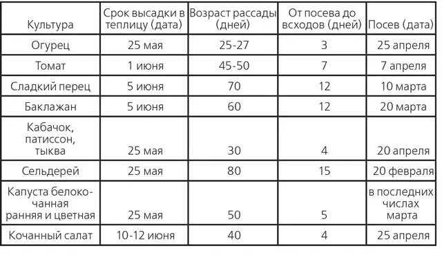 Лучшее время для посадки огурцов