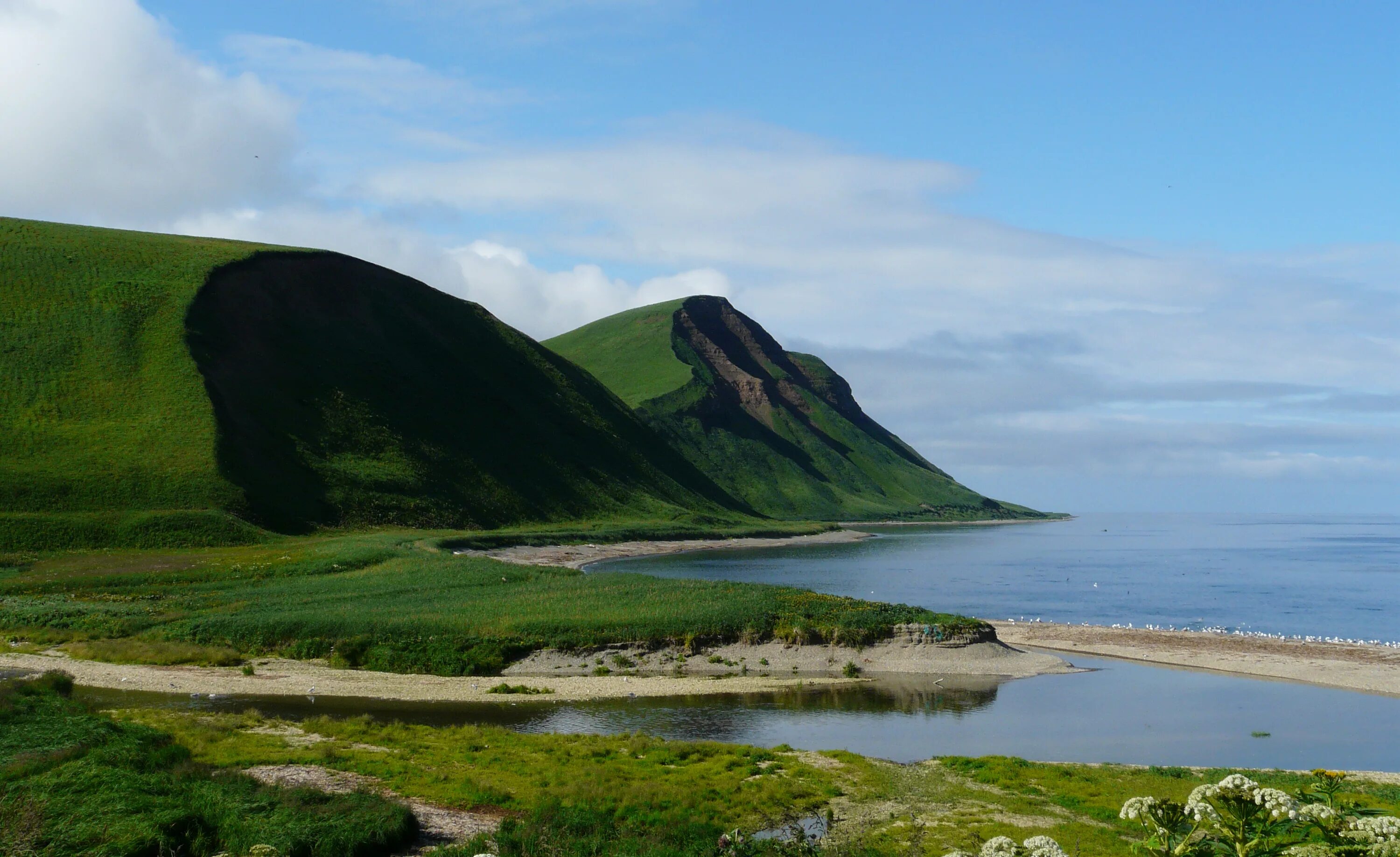 Остров беринга. Бухта буян остров беринга. Алеутские острова никольское. Алеутский район, камчатский край. Остров беринга.