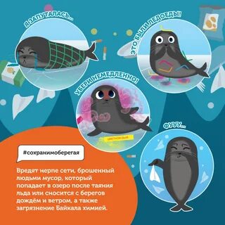 Расписание нерпочки