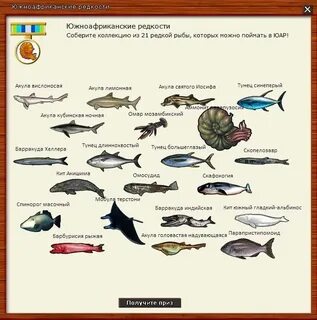 Типы редкостей