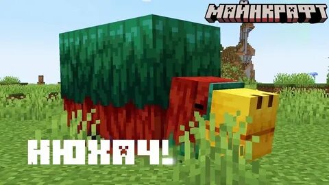 Как получить нюхача в майнкрафт