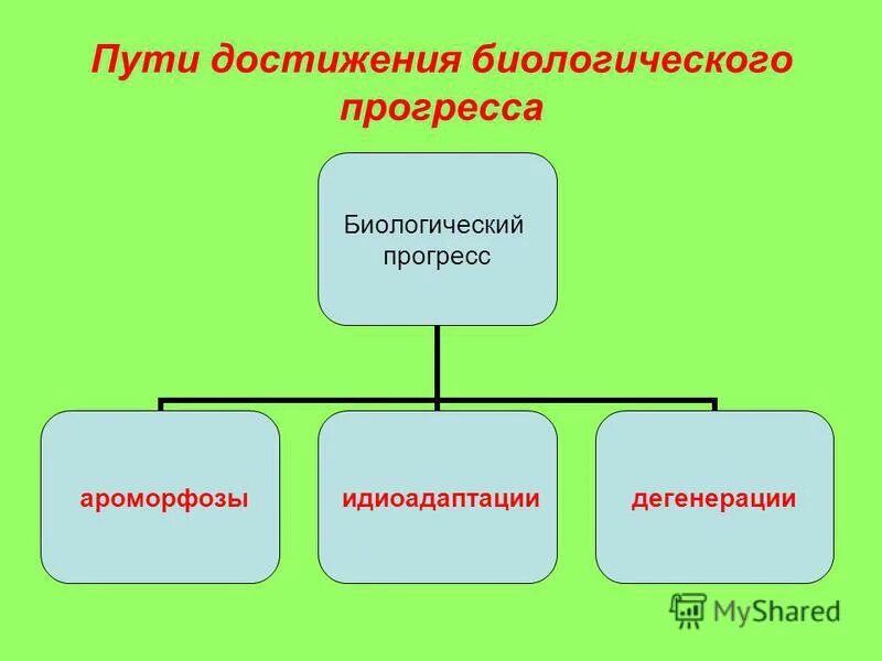 Каковы основные пути достижения биологического. Пути достижения биологического прогресса. Макроэволюция пути достижения биологического прогресса. Макроэволюция биологический Прогресс. Путь достижения биологической макроэволюции.