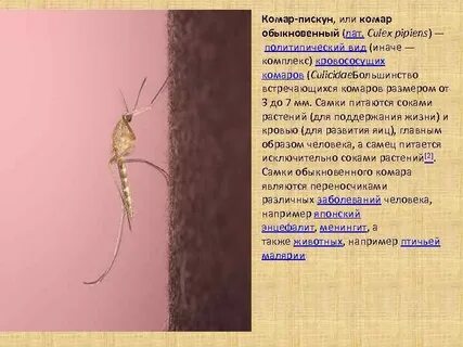 Вид иначе