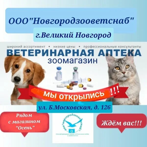 Черепичная 20 великий новгород. Новгородская районная ветеринарная станция. Ветклиника 9 жизней архангельск. Ветклиники великий новгород режим. Режим работы ветеринарной клиники.