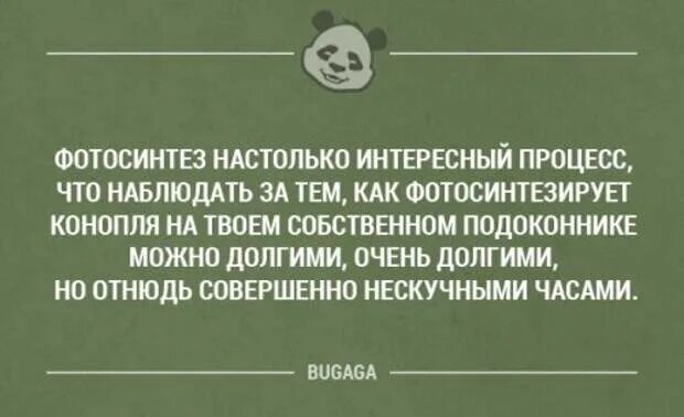 Мнительность цитаты. Узнал много нового и интересного. Настолько интересный. Очень интересно и познавательно. Статусы про людей которые интересуются моей жизнью.