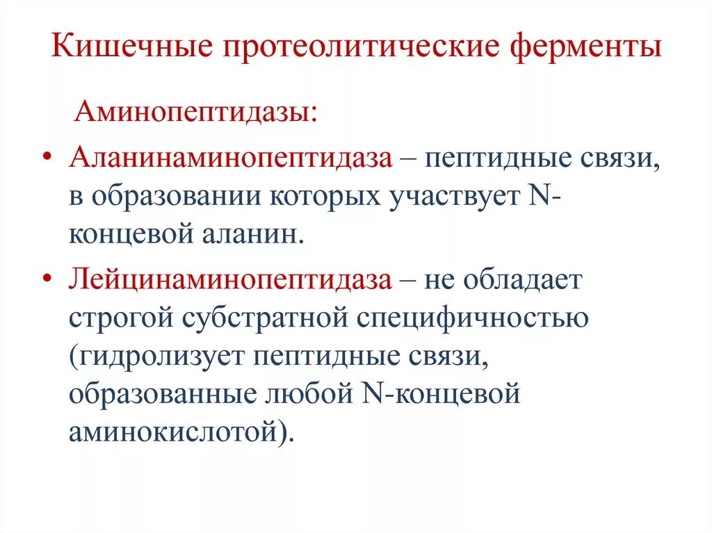 Аминопептидаза экзопептидаза. Аминопептидаза фермент. Лейцинаминопептидаза биохимия. Аминопептидаза фермент. Аминопептидаза фермент.