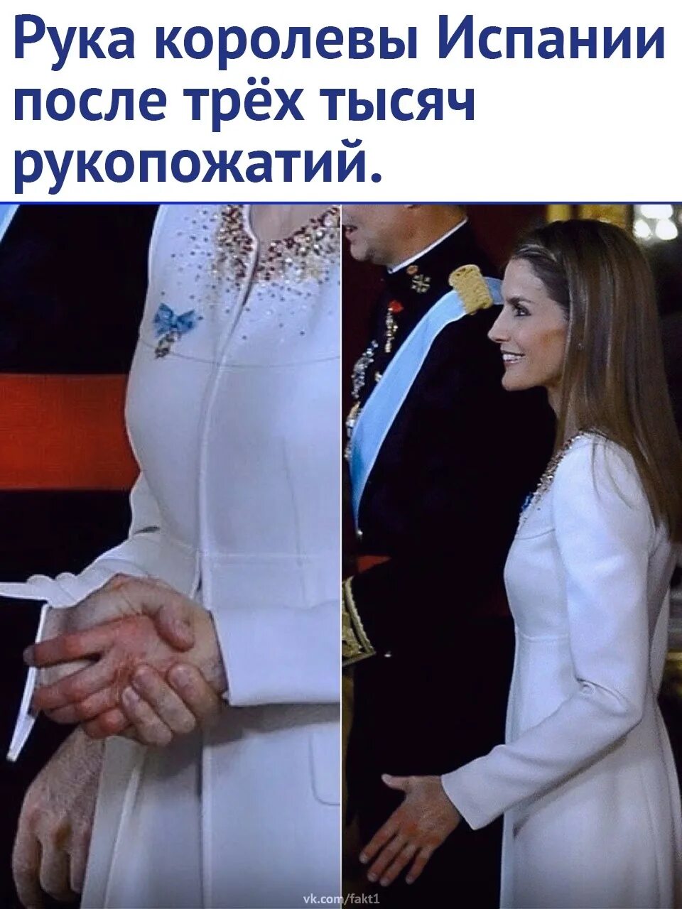 Его руки выглядят так чтобы ее. Королева летиция. летиция королева испании наряды. королева испании руки. новый выход королевы летиции.