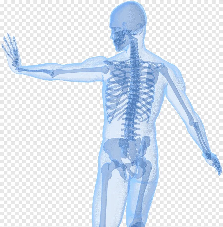 Artificial immune system