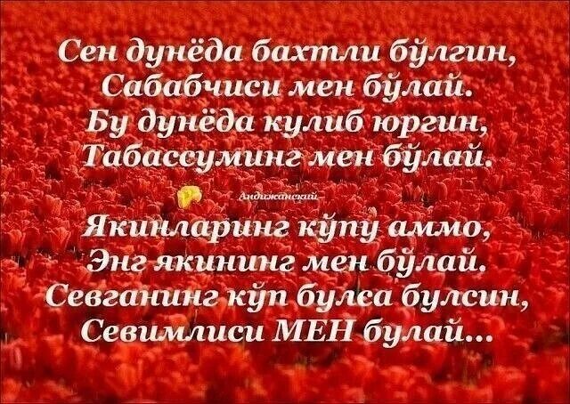 Она хакида шер. Бахтли бул синглим шери. Бахтли булгин келинчак. Самандар эргашев бахтли булгин омон. Согинмайди дейсанми.