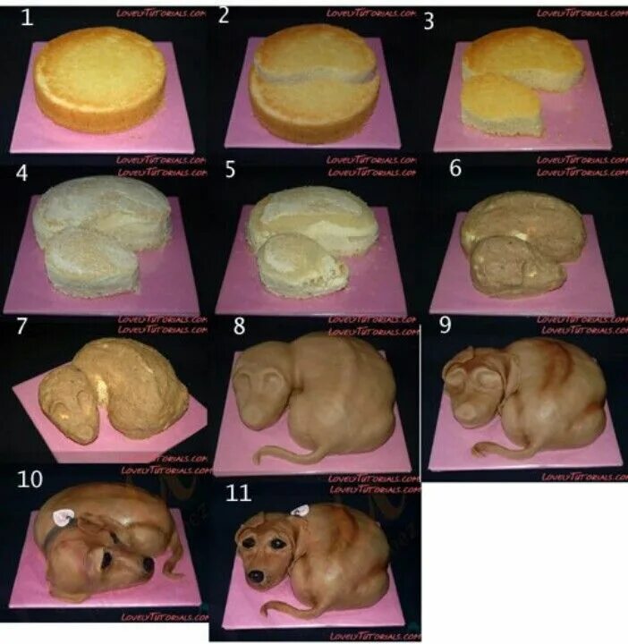 Торт в виде собаки. Тортики для собак своими руками. Торт собака МК. Торт в виде собаки пошагово. Можно собакам тесто