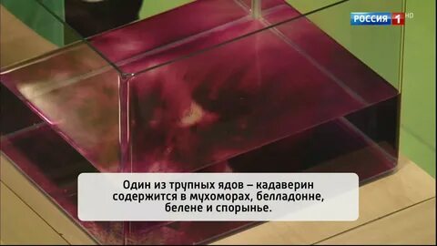 Яда видео