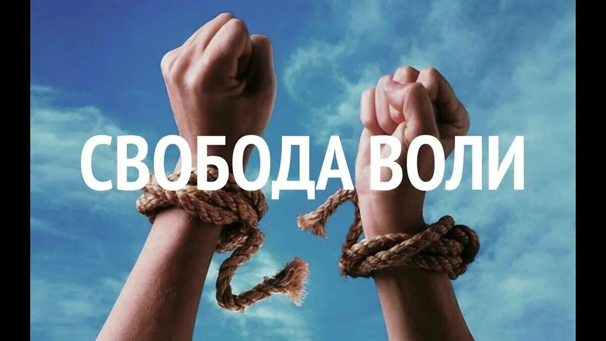 Свободно своей волей и в своем интересе. Волевые процессы. Субъект персональных данных кто это. Свободно своей волей и в своем интересе. Стремление к цели.