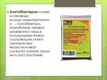 Улучшают азотное питание
