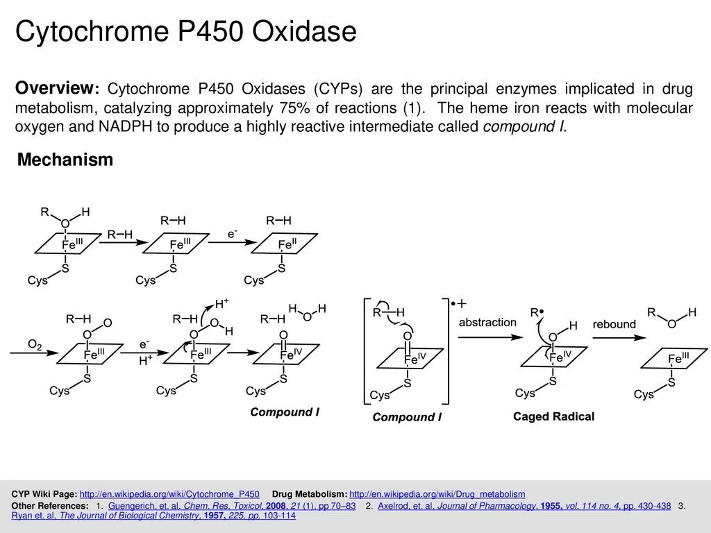 цитохром p450 реакции. ингибитор цитохрома р450 препараты. индукторы цитохрома p450. цитохром p450. цитохром p450 активаторы.