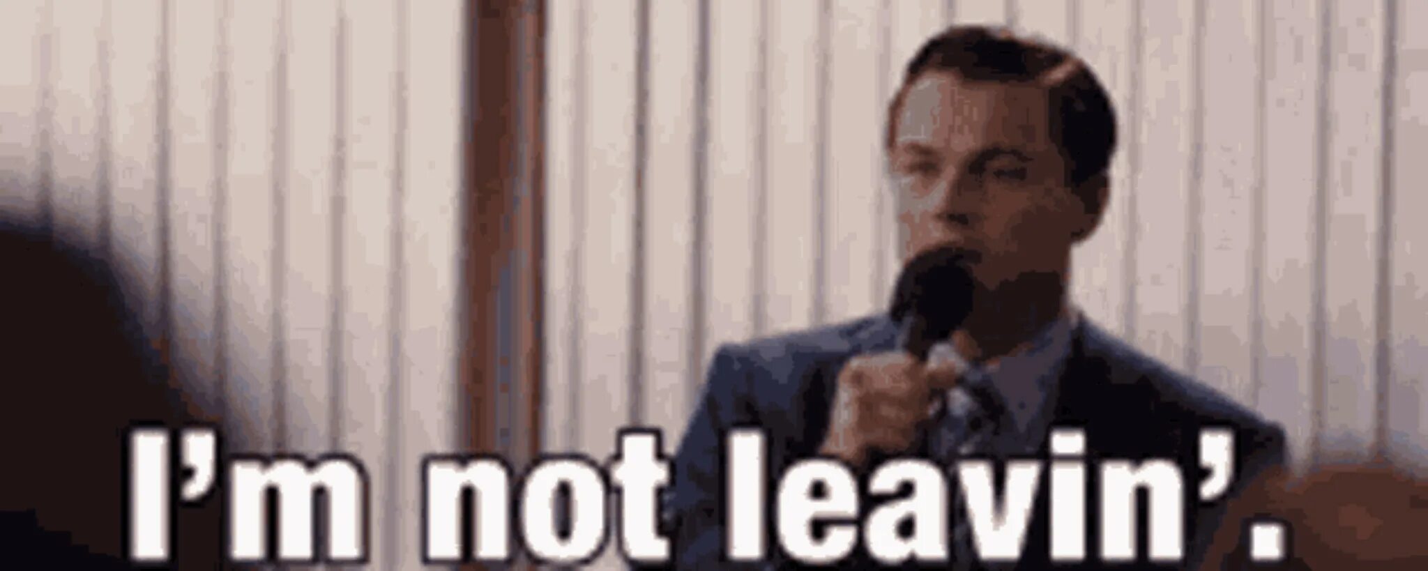 I m not receiving. I&#039;m not leaving. wolf wall street gif. leaving gif. гифка leave the team?.