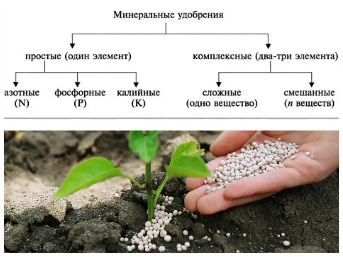 Соединение минеральных удобрений. Удобрения. Минеральныесудобрения. Простые удобрения. Удобрения для растений.