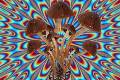 Hypno mushroom