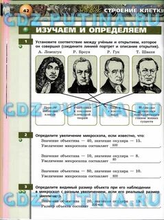 Установите соответствие ученый открытие