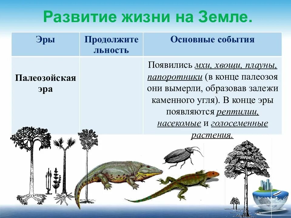 Этапы земли. Этапы развития жизни на земле. история развития жизни на земле. основные этапы развития жизни. эры развития жизни на земле.