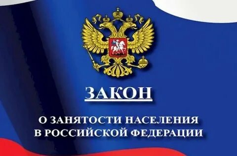 Закон о занятости населения в 2024 году