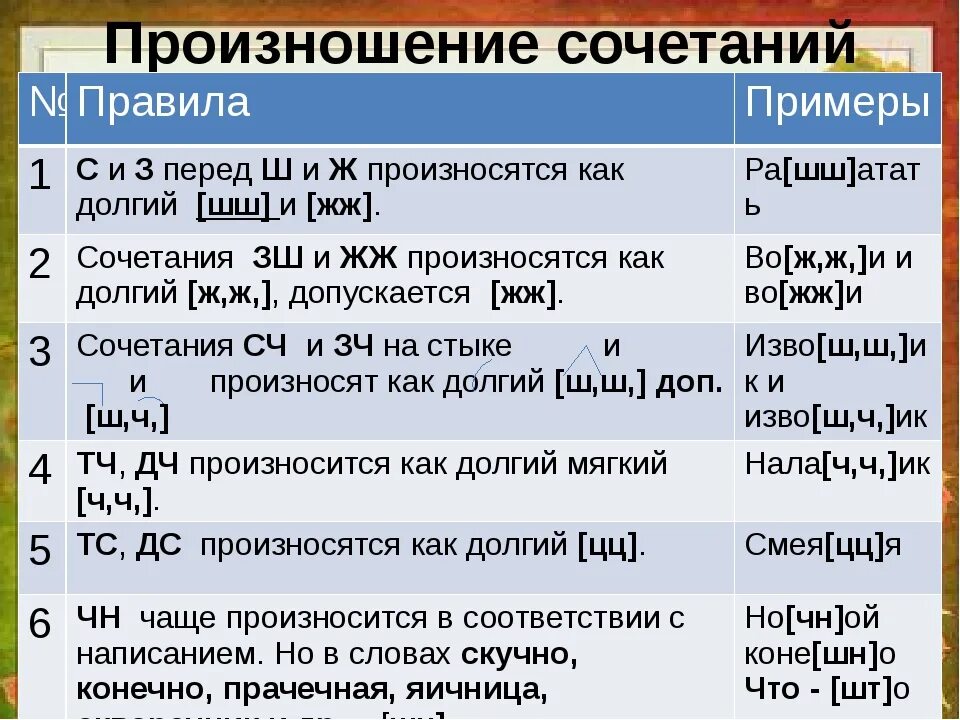 Разметка транскриптов уроков что это такое